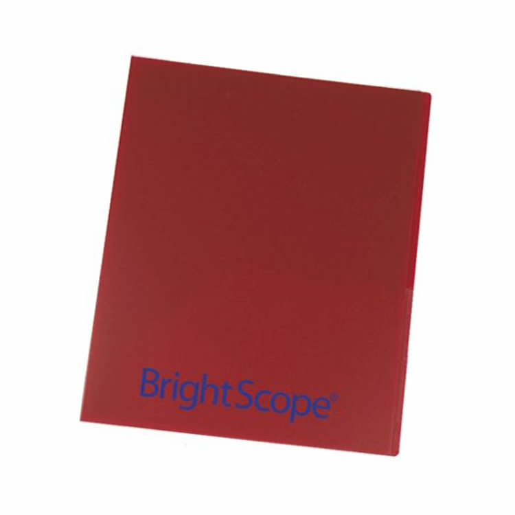 Plastic Professional Presentation Folder 8 Raspberry Plastic Professional Presentation Folder